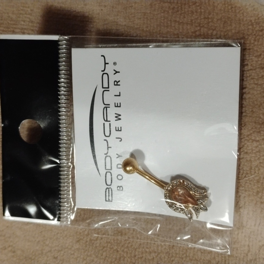 Body Candy Gold and Silver Earrings